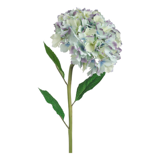 ورد زهرة هايدرانجيا 58154-BLUE