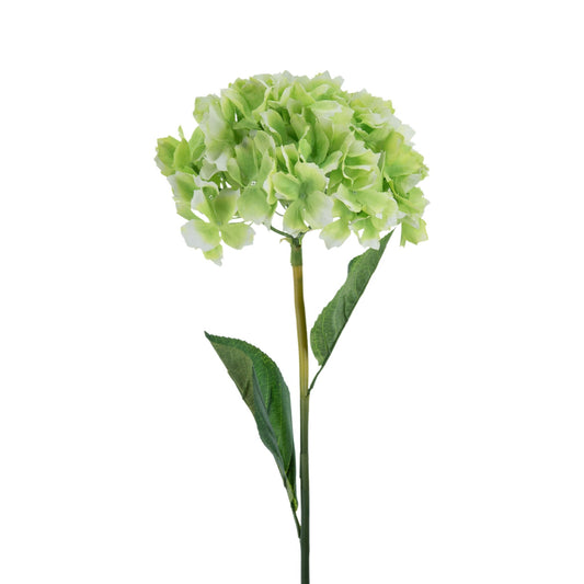 باقة ورد هايدرانجيا 58154-GREE